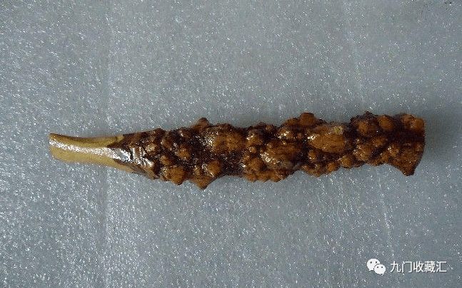 刚砍的花椒木怎么处理才能上手盘？防干裂怎么处理(图2)