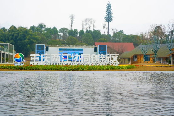 聚焦两江“链长制”两江新区建设新材料产业功能区 助力“两高两区”建设(图3)