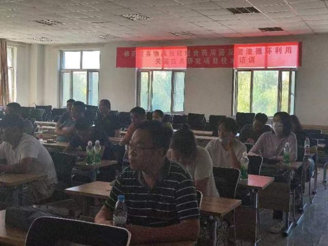 智力援助解难题循环产业建新功——国家产业技术体系岗站联动到新疆建设兵团技术服务(图1)