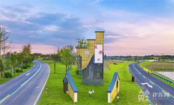 盐城盐都：留住最美乡愁！“特色田园”上描绘乡村振兴新图景(图5)