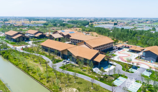 盐城盐都：留住最美乡愁！“特色田园”上描绘乡村振兴新图景(图4)