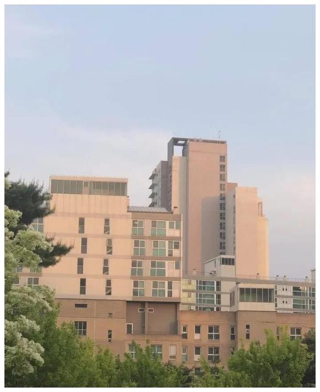 为了地下室天井买下82平小户型被亲朋嫌弃一改完大赞划算(图1)