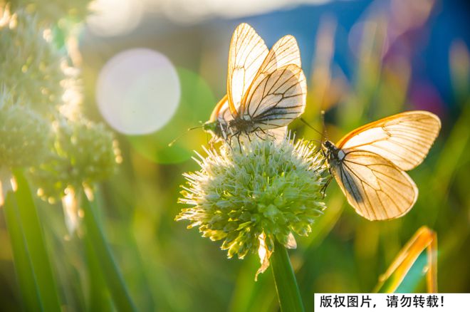 他很帅但标本真不能这么做(图2)