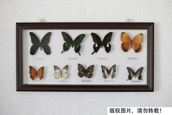他很帅但标本真不能这么做(图3)