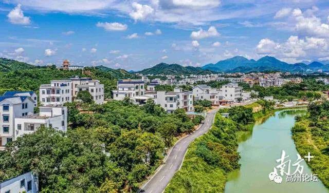 高州过万栋“赤膊房”穿上新衣裳！是你家乡的吗？(图6)