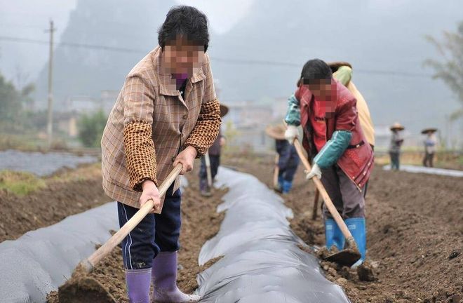 面对亲戚一再开口借我新房住三年要陪他儿子读高中要撕破脸吗(图3)