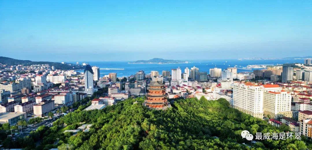 威海环翠：实施“强基领航”行动全力招商引资(图1)